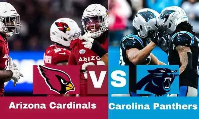 Cardinals vs Panthers: Head to Head Analysis And Prediction